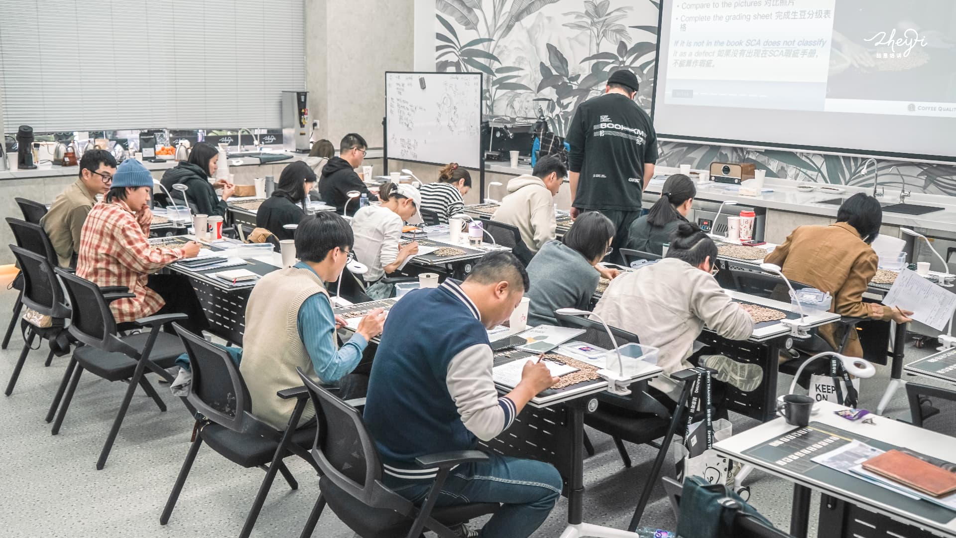 SCA 生豆分级课堂